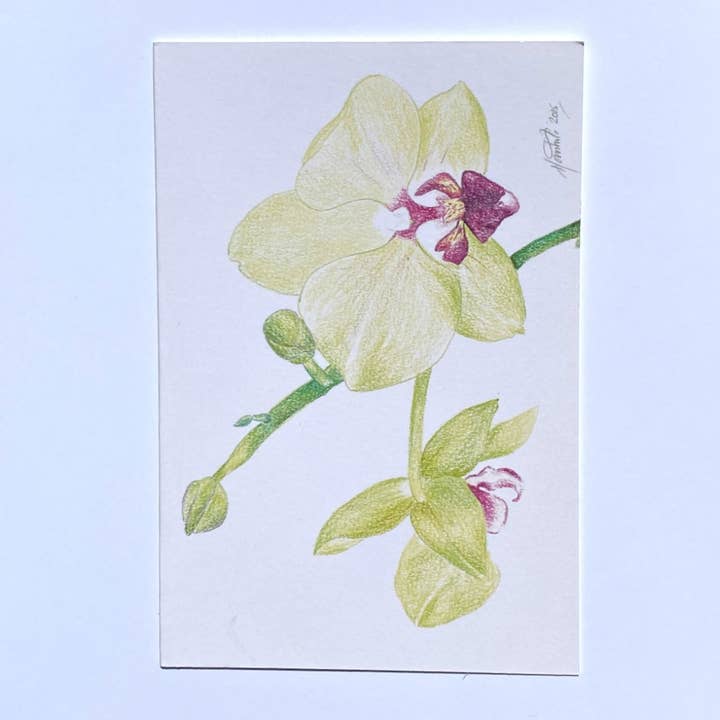 Orchid wenskaart voor wholesale door Harshita's Designs