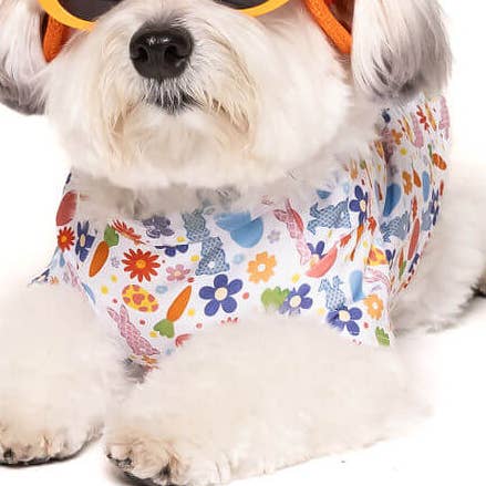 Spring Rabbit Dog shirt for wholesale by Vibrant Hound