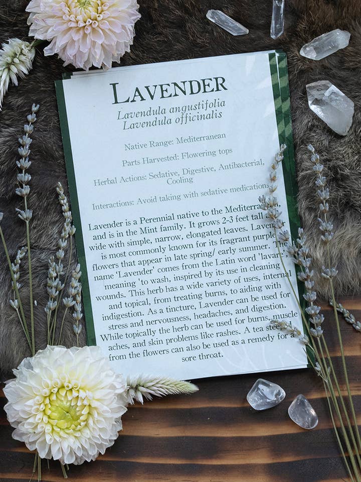 Medicinal Herb Monograph Flashcards for wholesale by The At Home Apothecary