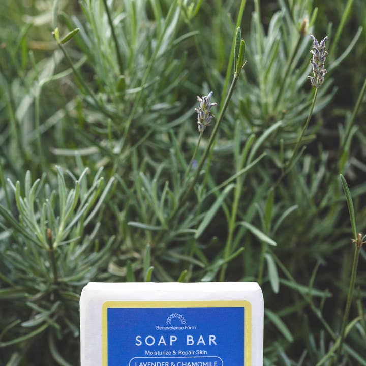 Benevolence Farm - Wholesale Bar Soap - Natural Goat's Milk Bar Soap14