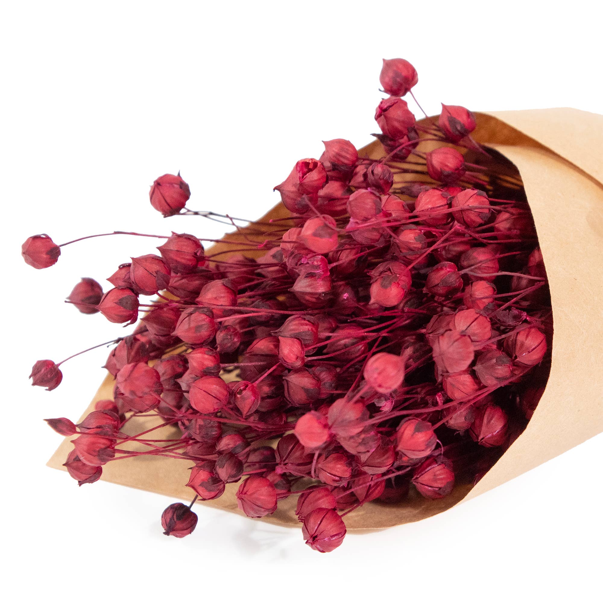 Andaluca - Wholesale Dried/Pressed Flowers - MINI Merlot Flax Bundle #821