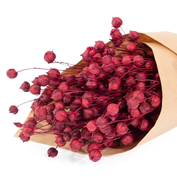 Andaluca - Wholesale Dried/Pressed Flowers - MINI Merlot Flax Bundle #821