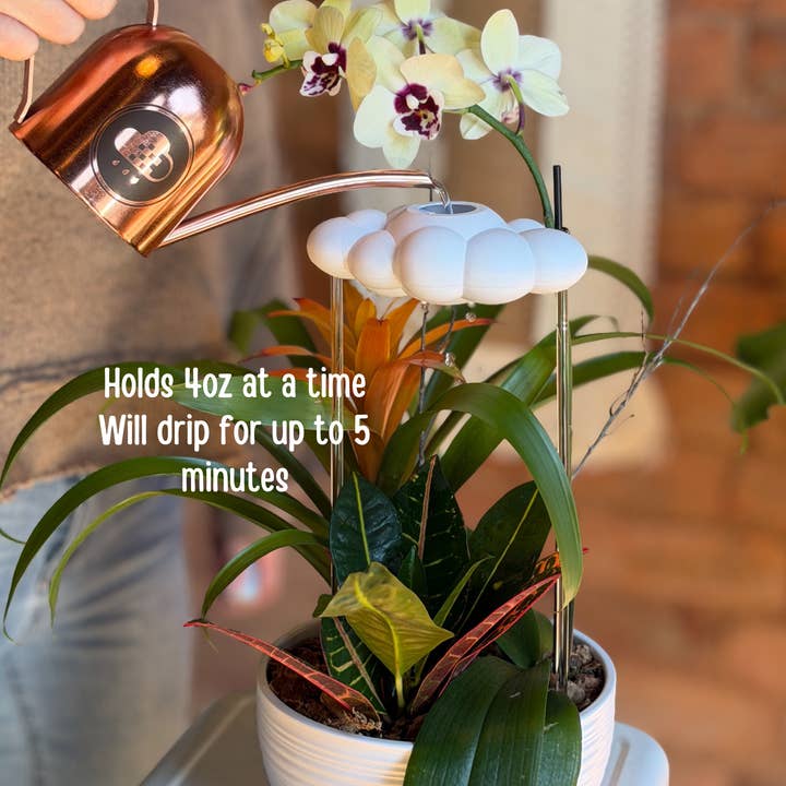 The Cloud Makers - Wholesale Watering Can - Stormy Cloud Boutique Pack with Charm Bundle18