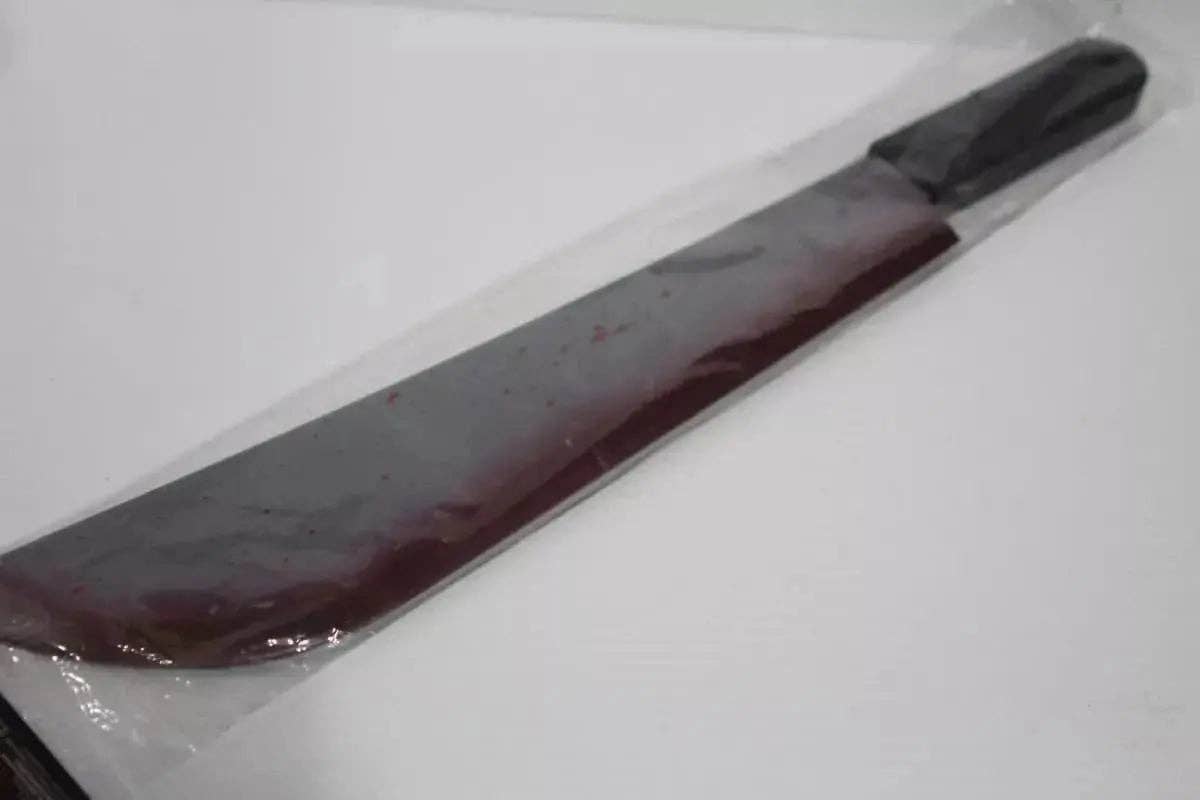 Party Expo, LLC – wholesale Costume – Unisex – Friday the 13th - Jason Voorhees Machete (1ct)2