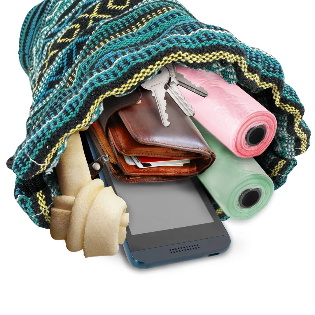 Walking Palm - Wholesale Pet Treat Bag - Dog - 100% Hand Woven Pet Pouch- Peacock1