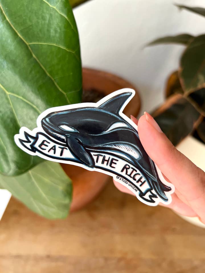 Orca Aufkleber „Eat the Rich“, wasserfest, Motiv Killer Whale Ocean für den Großhandel von Studio Undine