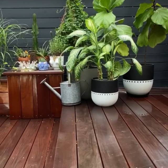 Common House Studio - Wholesale Plant Pot - BOHO POT | PLANTER