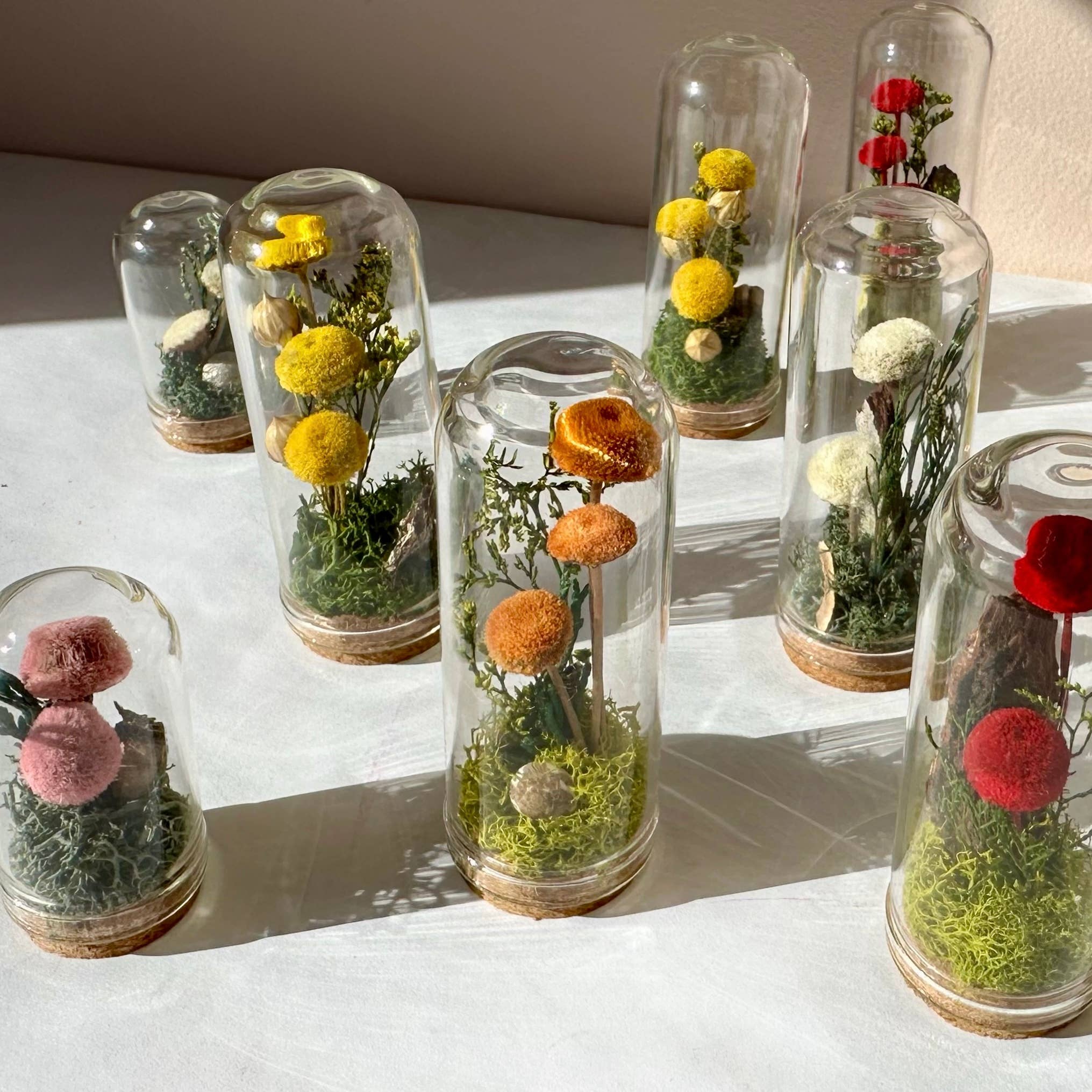 CA Studios - Wholesale Terrarium - Mushroom Mix Terrarium Glass Cloche Cork Jar & Florals3