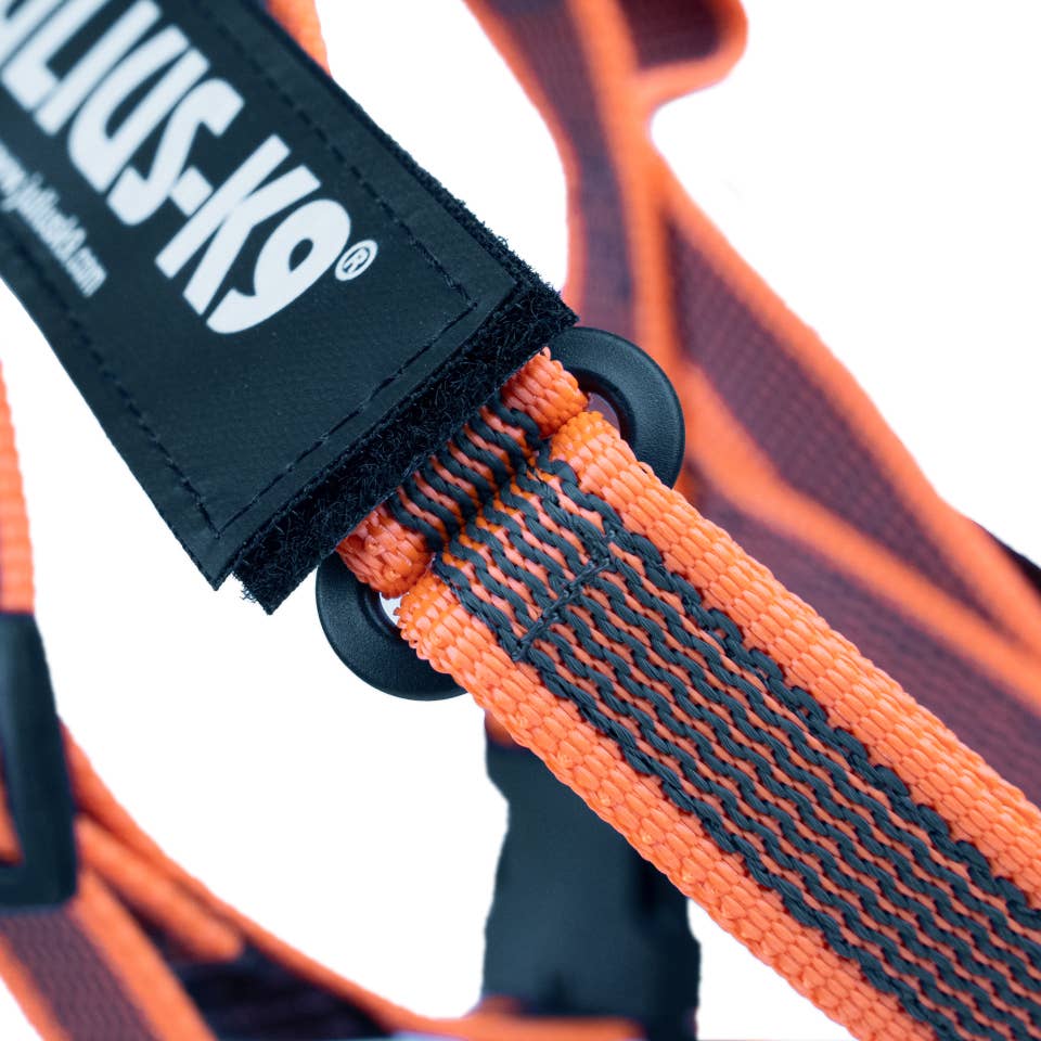 Julius K9 - Wholesale Pet Harness - Dog - Ergonomic Ergonomic CintaIDC Pet Dog Harness Orange6