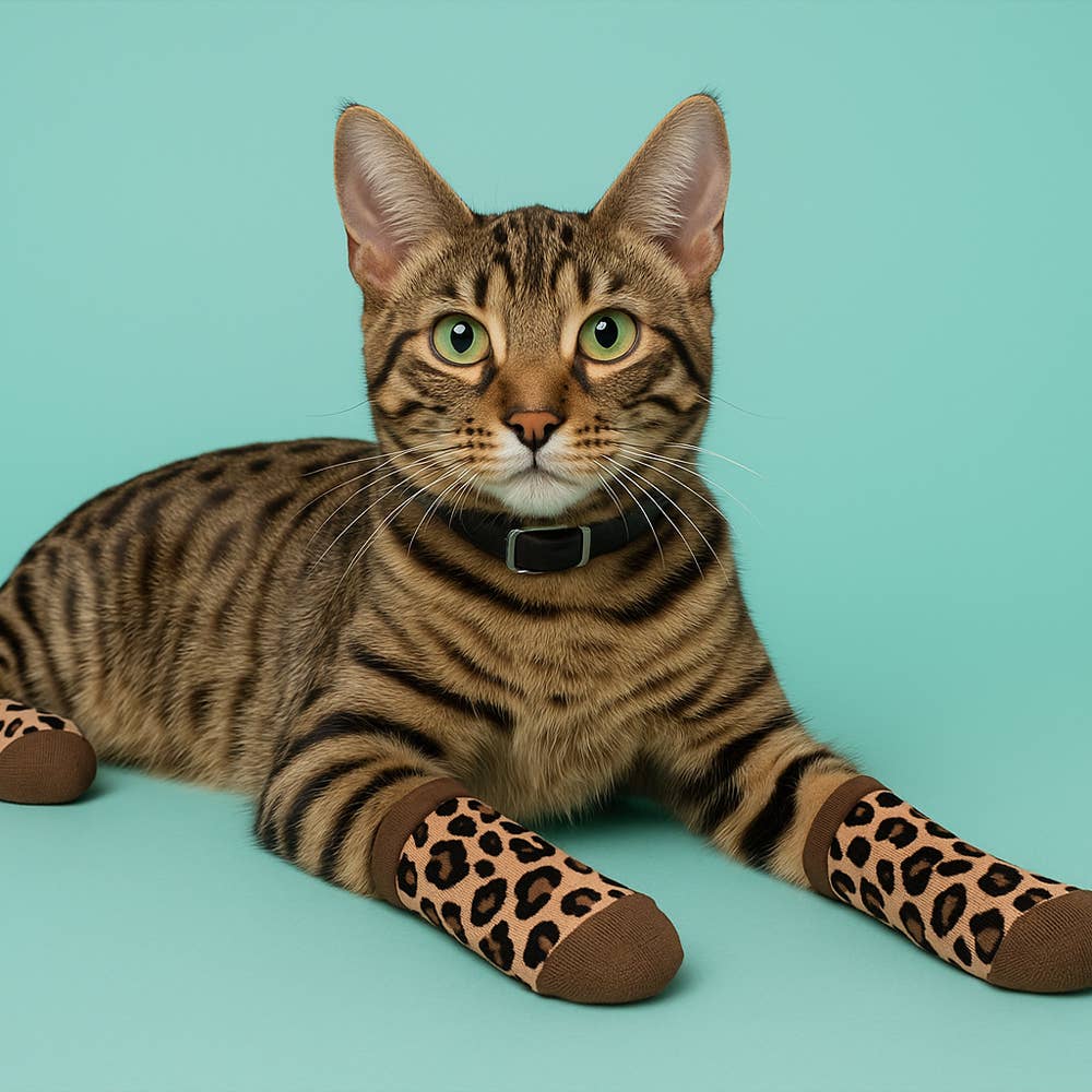 The American Gift Company (TAGCO) - Wholesale Pet Socks - Dog - Matching Pet And Owner Fun Socks5