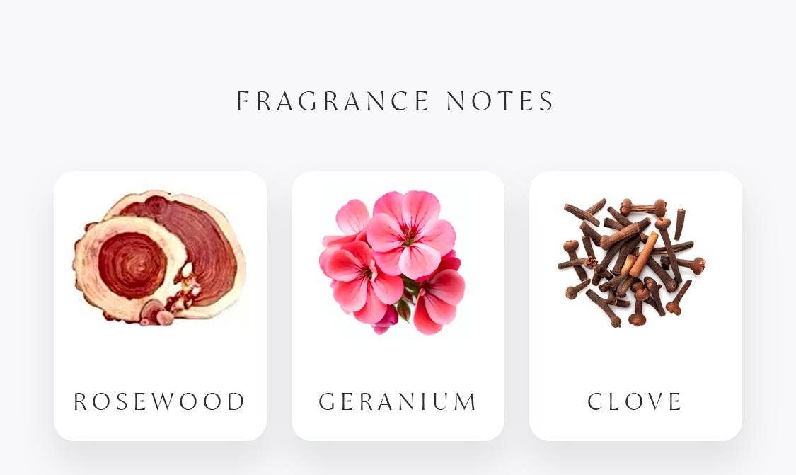 Amod aromas - Wholesale Incense - Scent Waves - Incense + burner gift set5