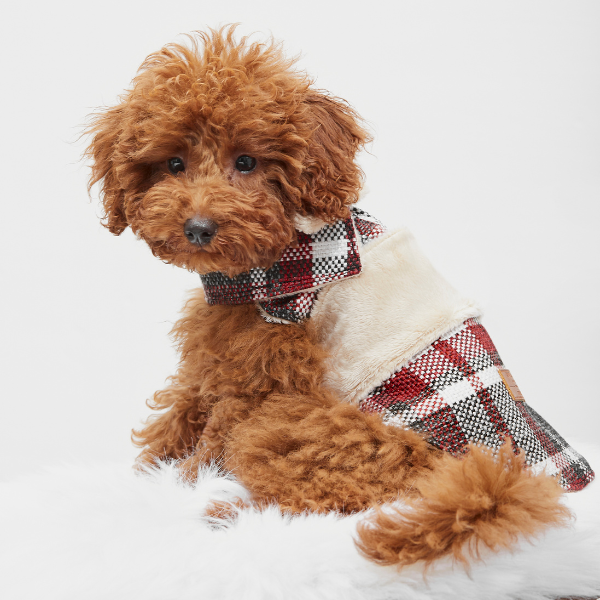 ARISTOPET – wholesale Ytterkläder - Hund – HUNDROCK LÖV8