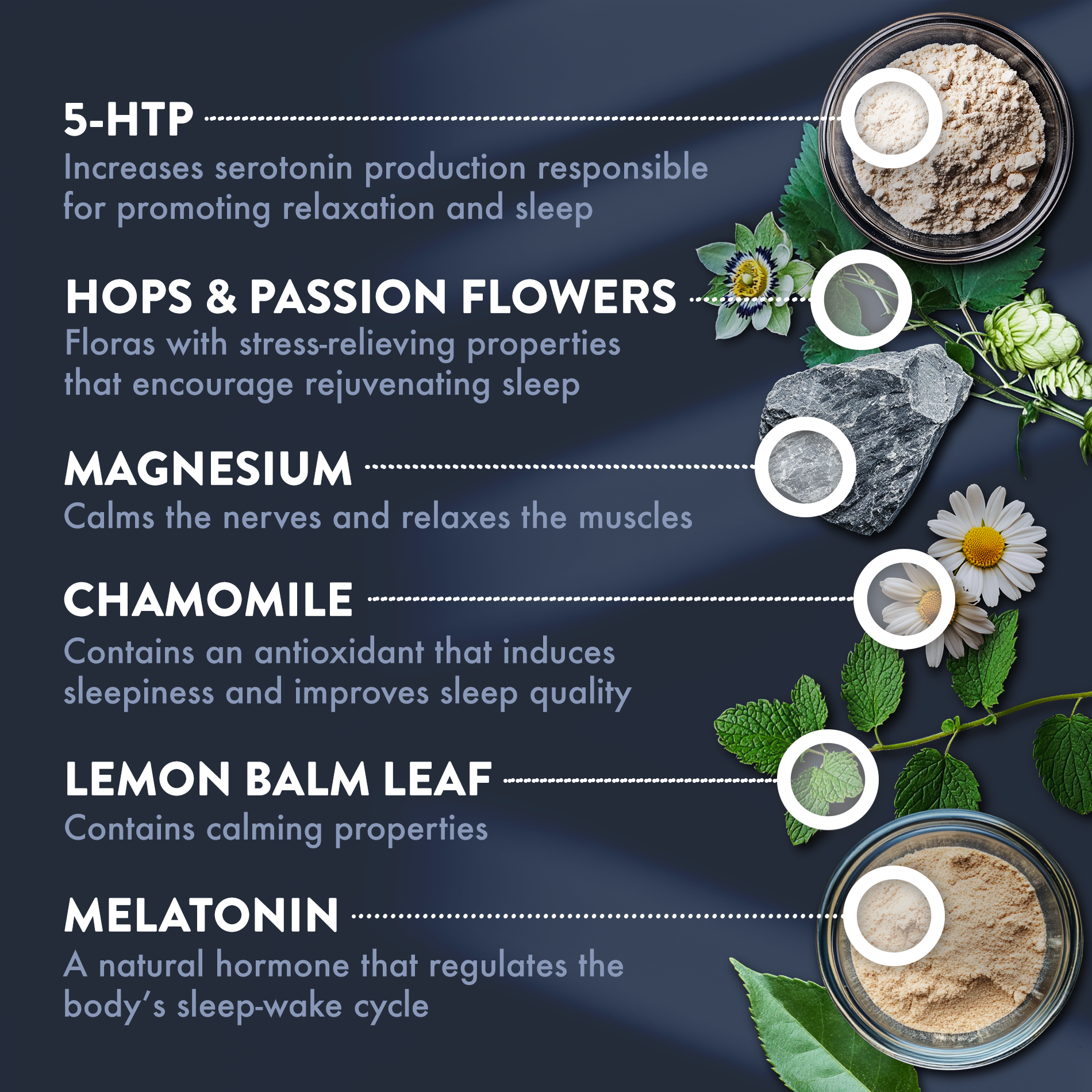 Mt. Angel Vitamins - Wholesale Oral Supplement/Vitamin - Mt. Angel Vitamins' Sleepy Sleep - 60 Capsules2