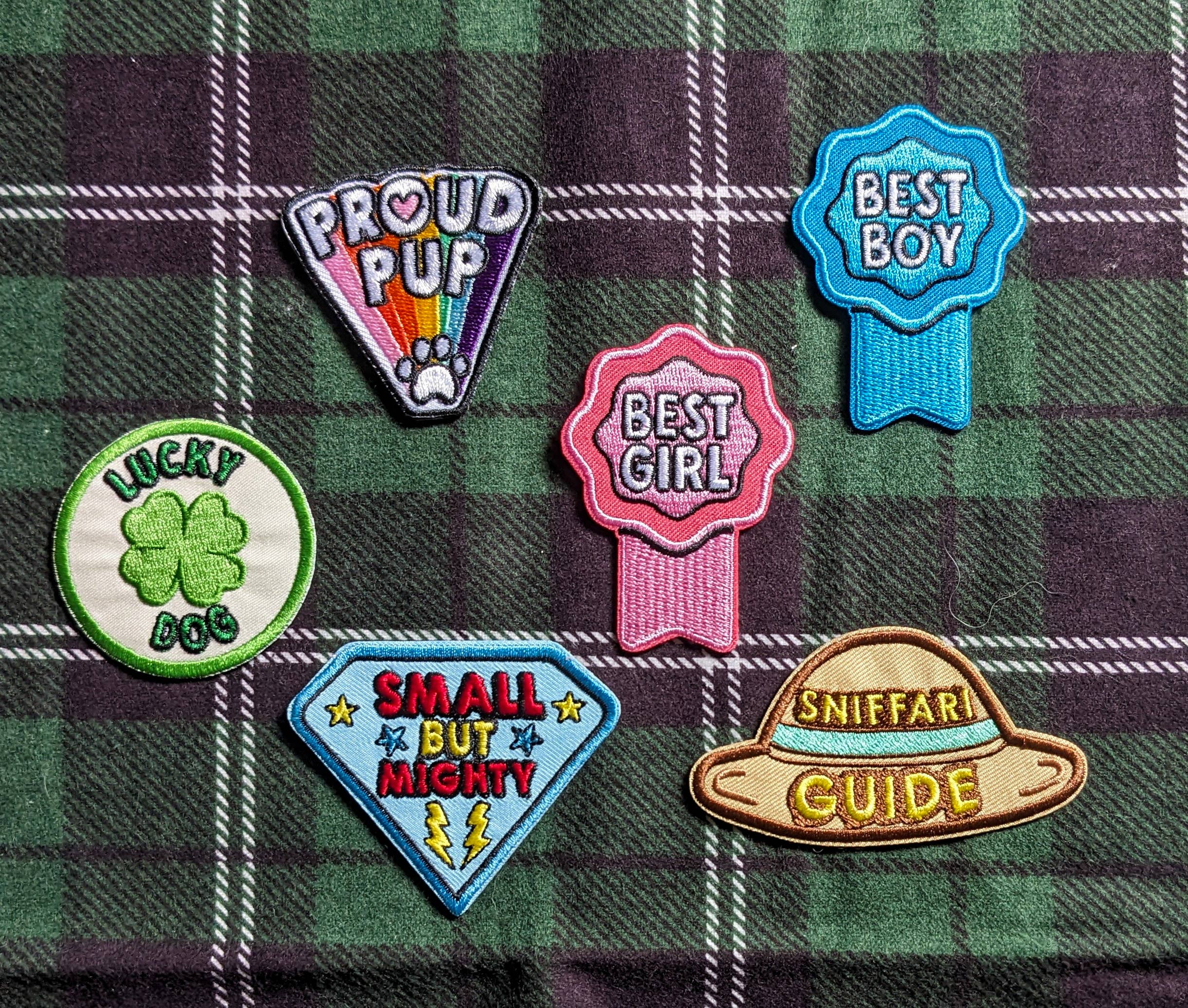 Colored Up Pup - Vente Écusson - Écusson thermocollant Baller pour chiens2