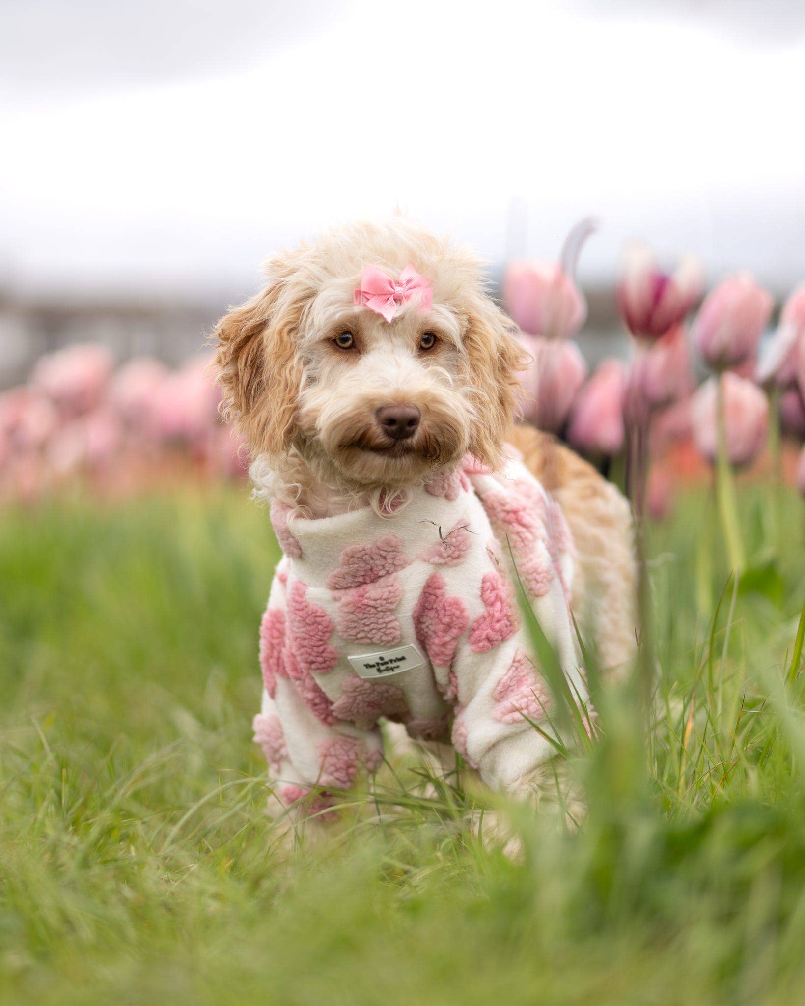 The Paw Print Boutique - Wholesale Pet Coat - Dog - The Peony Pink Floral Fleece5