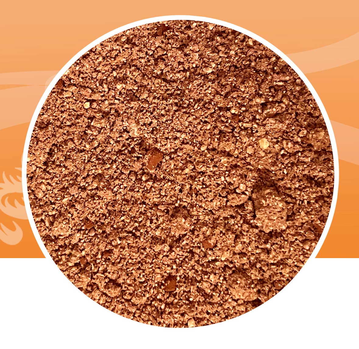 Le petit maître - Wholesale Hot Cocoa Mix/Kit - Cocoa powder and Isigny salted butter caramel2