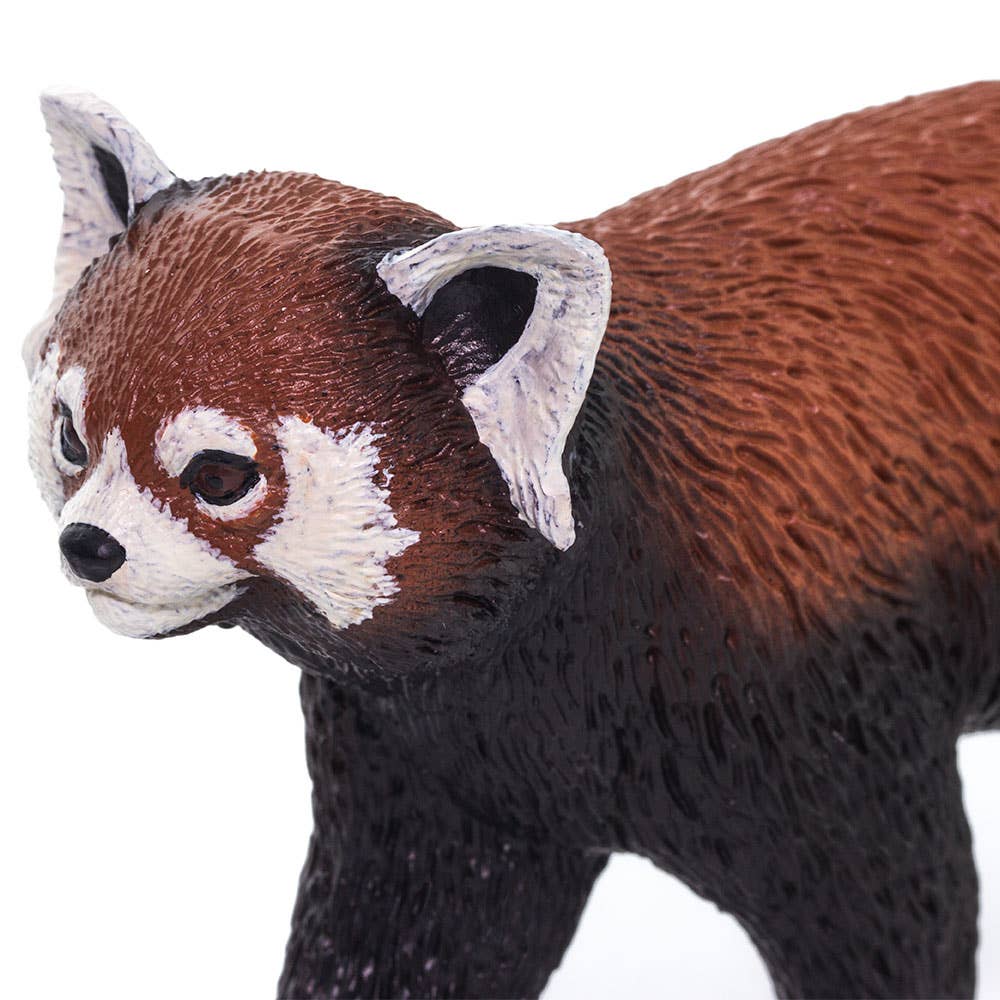 Safari Ltd. - Wholesale Figurine Toy - Kids - Red Panda - 1003205