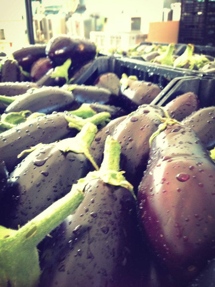 Sapori di Casa - Wholesale Ingemaakte groenten - Julienne aubergines in extra vierge olijfolie zonder conserveermiddelen3