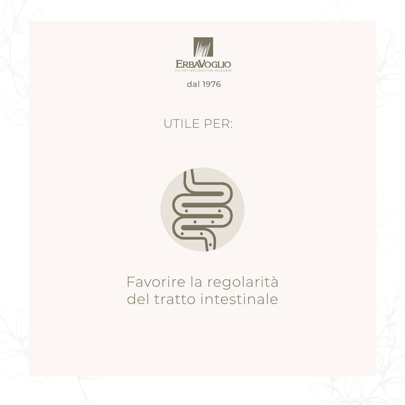 Erbavoglio - Wholesale Oral Supplement/Vitamin - Gc 70 Colon Cleansing Capsules1