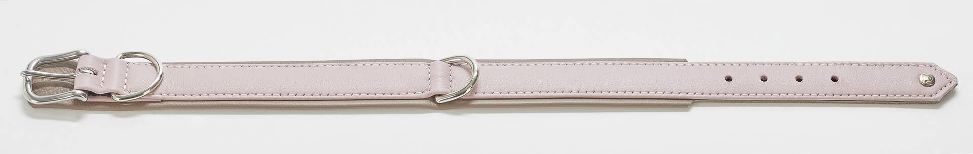 LABONI - Volentis GmbH - Wholesale Pet Collar - Dog - AMICI dog collar44