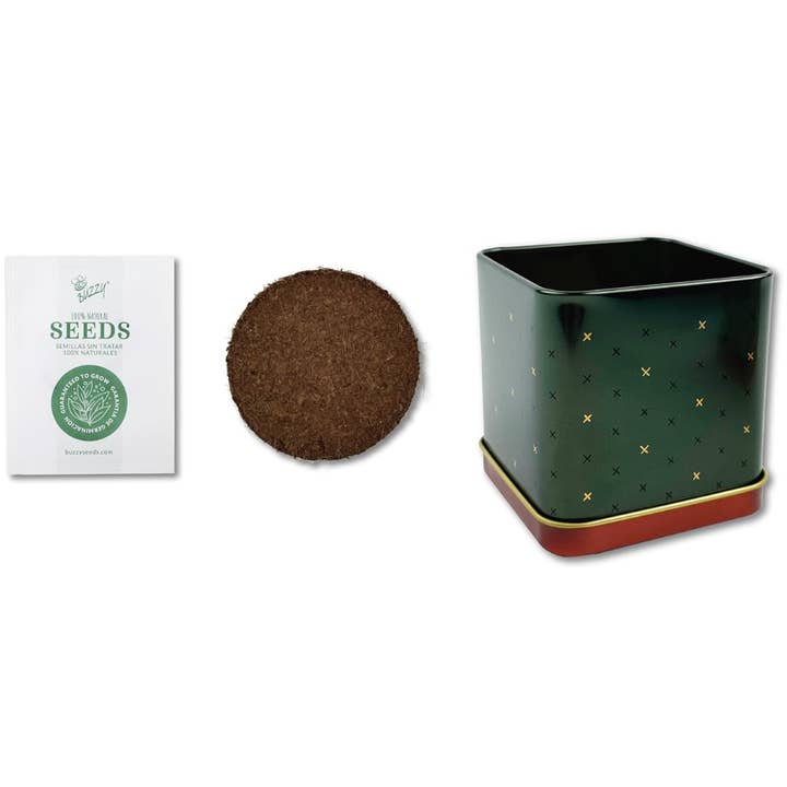 Buzzy, Inc. - Wholesale Plant Seeds - Buzzy Seeds Holiday Square Tin - Spruce