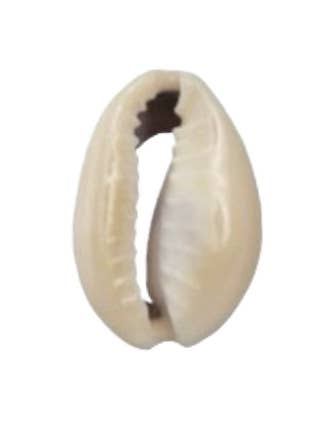 Cowrie Shell Charm for wholesale by Sea Bones