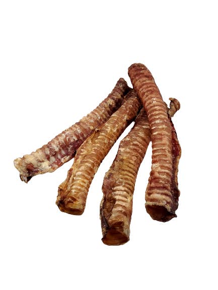 Trachée de bœuf — 12 pouces pour la vente par Dibo Pet Foods