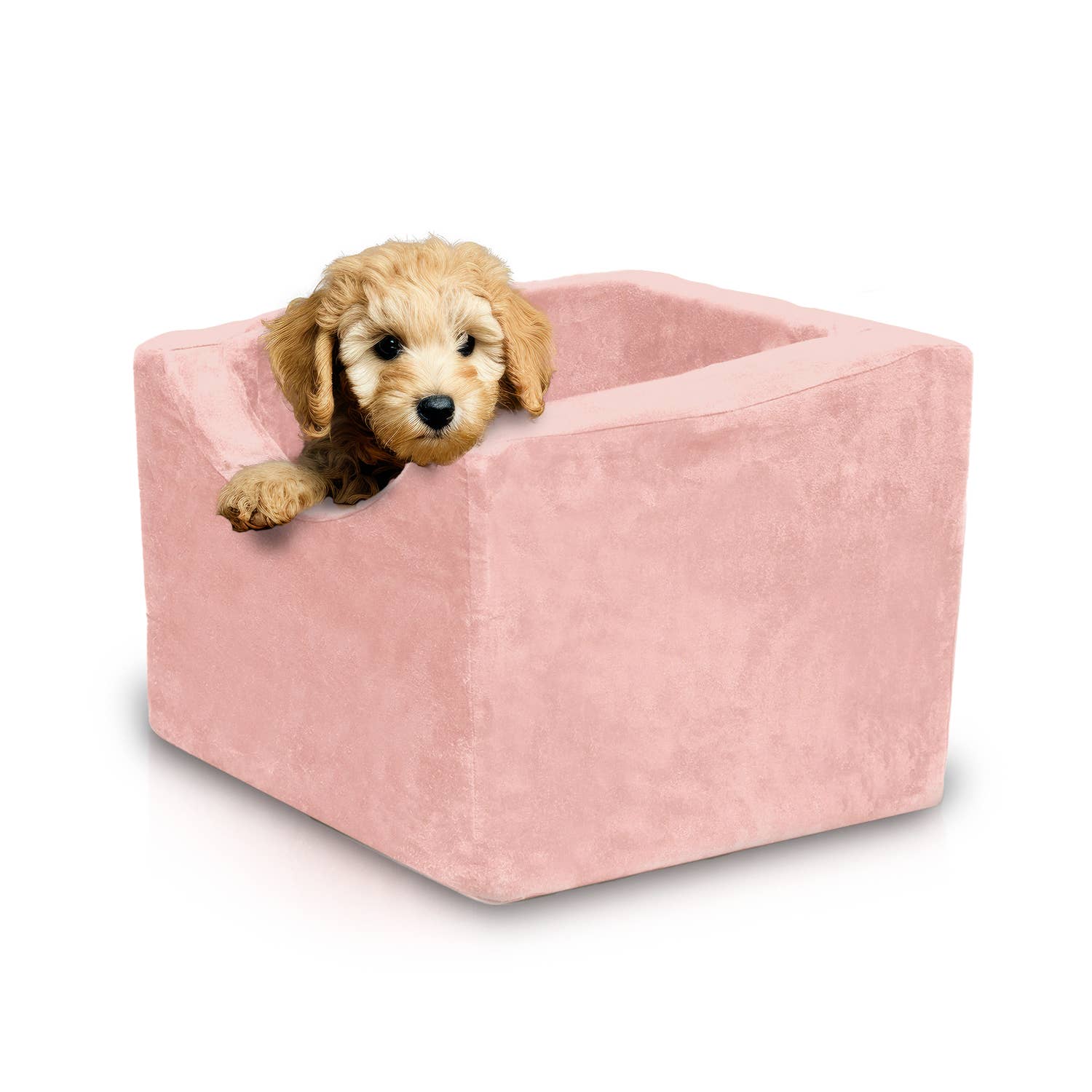 Precious Tails - Wholesale Pet Carrier - Cat/Dog - Precious Tails High Density Foam Pet Booster Seat9