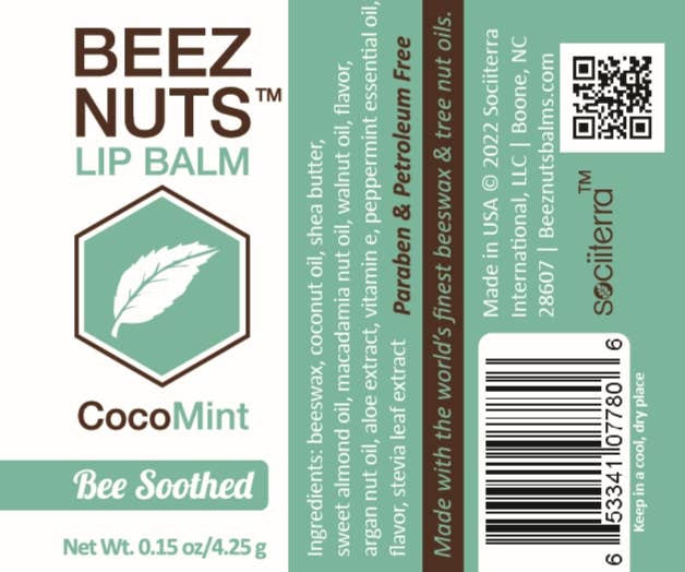 Beez Nuts Balms - Wholesale Lip Balm Set - CocoMint Lip Balms - 12 pack2