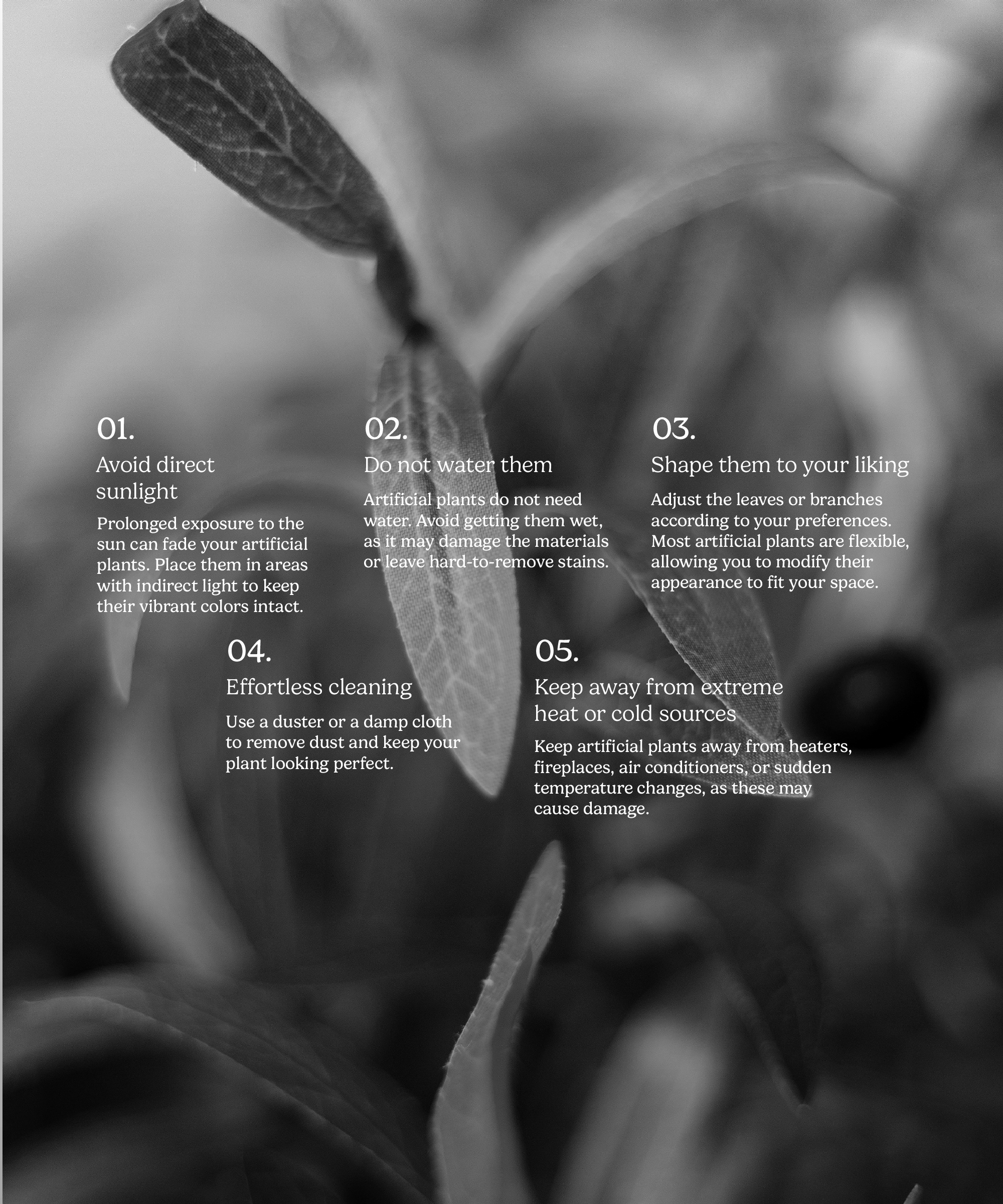 Maia Shop - Vente Plantes artificielles - Olivier Artificiel 180 cm8