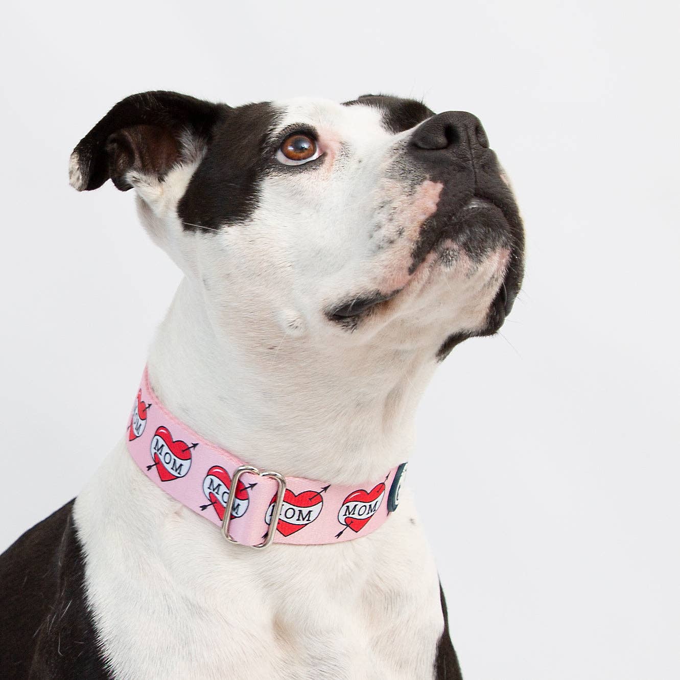 Pittie Clothing Co. - Wholesale Pet Collar - Dog - Pink 'MOM' Heart Tattoo Collar4