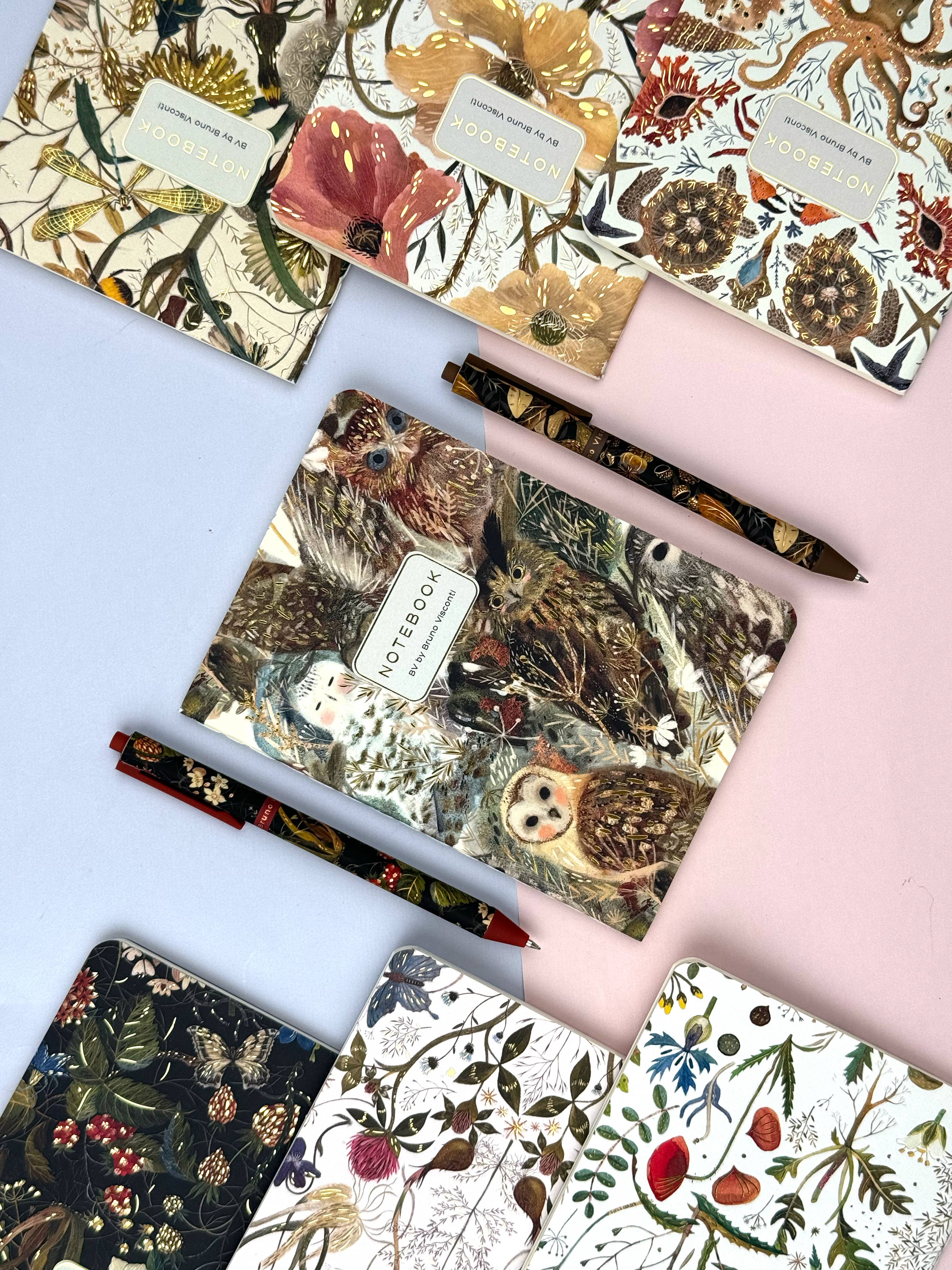 BV by Bruno Visconti - Wholesale Notebook - Owls Notebook6