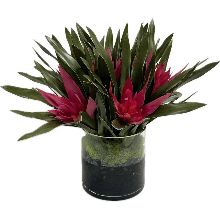 Gingembre dans un cylindre de 6" - Rose pour la vente par Moman Sales, Inc.