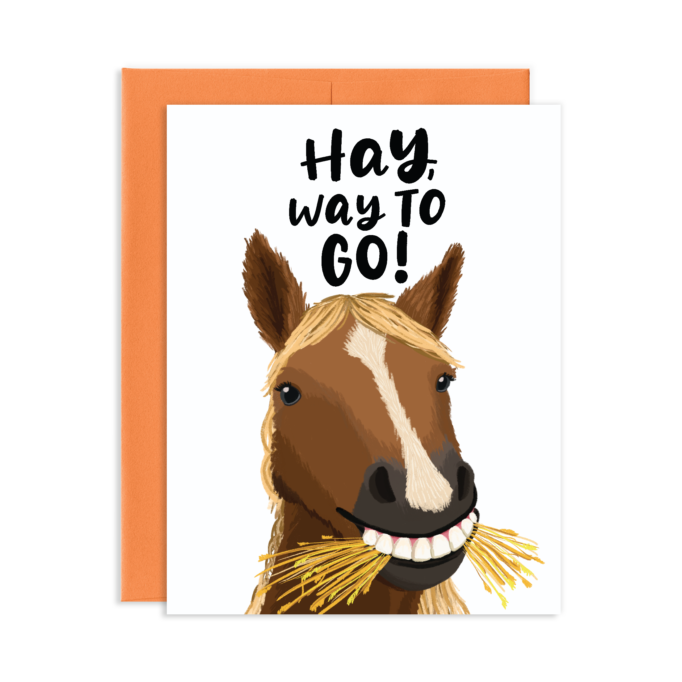 Grey Street Paper - Wholesale Congratulations Card - Hay Horse Congratulations Greeting Card0
