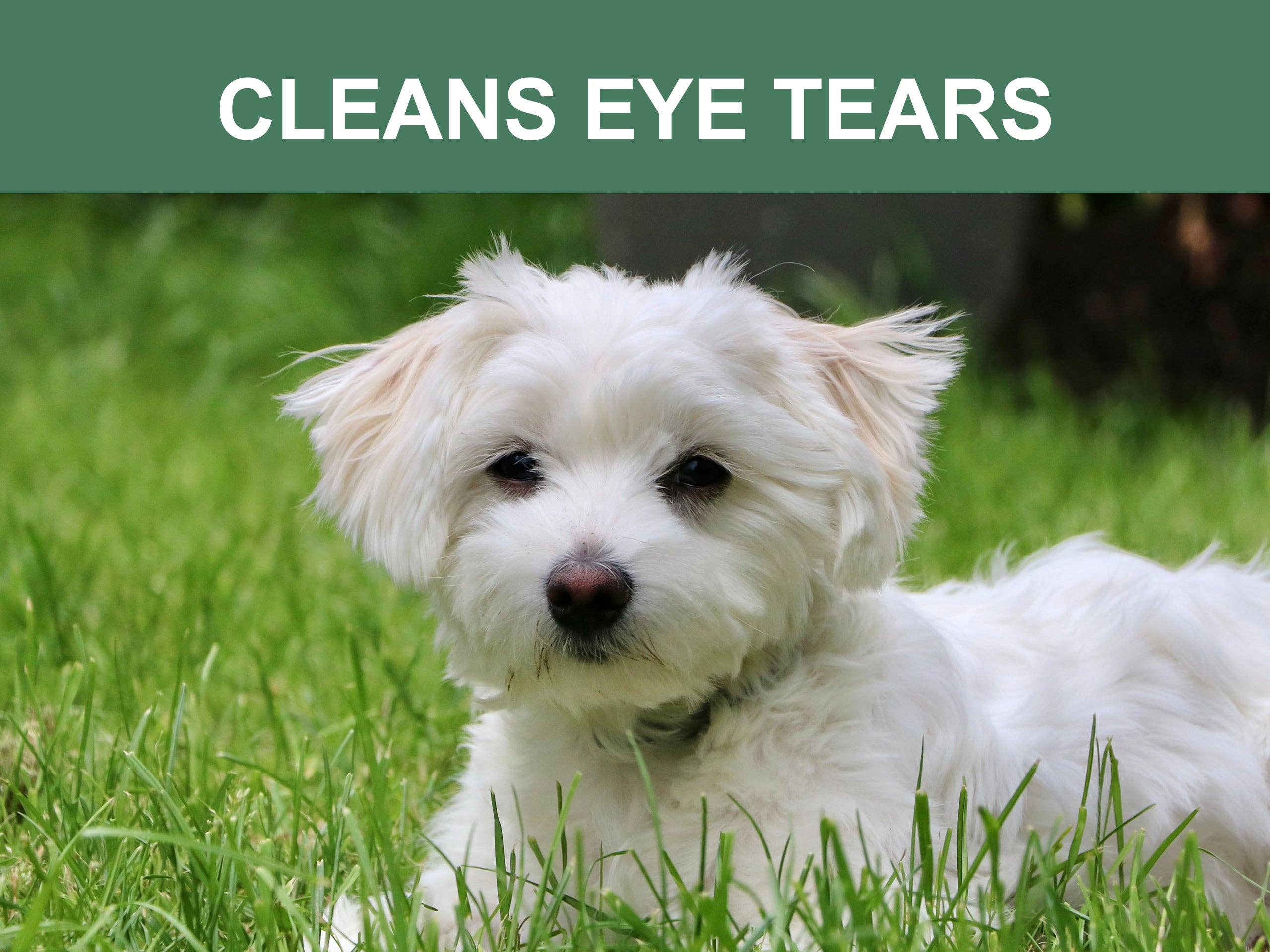 Mr. Peanut's - Wholesale Pet Grooming Aid - Dog - Mr. Peanut's Naturals Plant Based, Flushable, Compostable, Unscented Pet Wipes, 160 Count, Larger 8x6" Size4