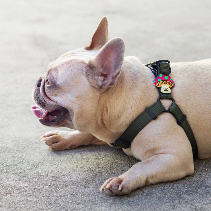 Jiby Dog Crew – wholesale Halsbandsberlock - Katt och hund – Rolig Kille Hund Jiby