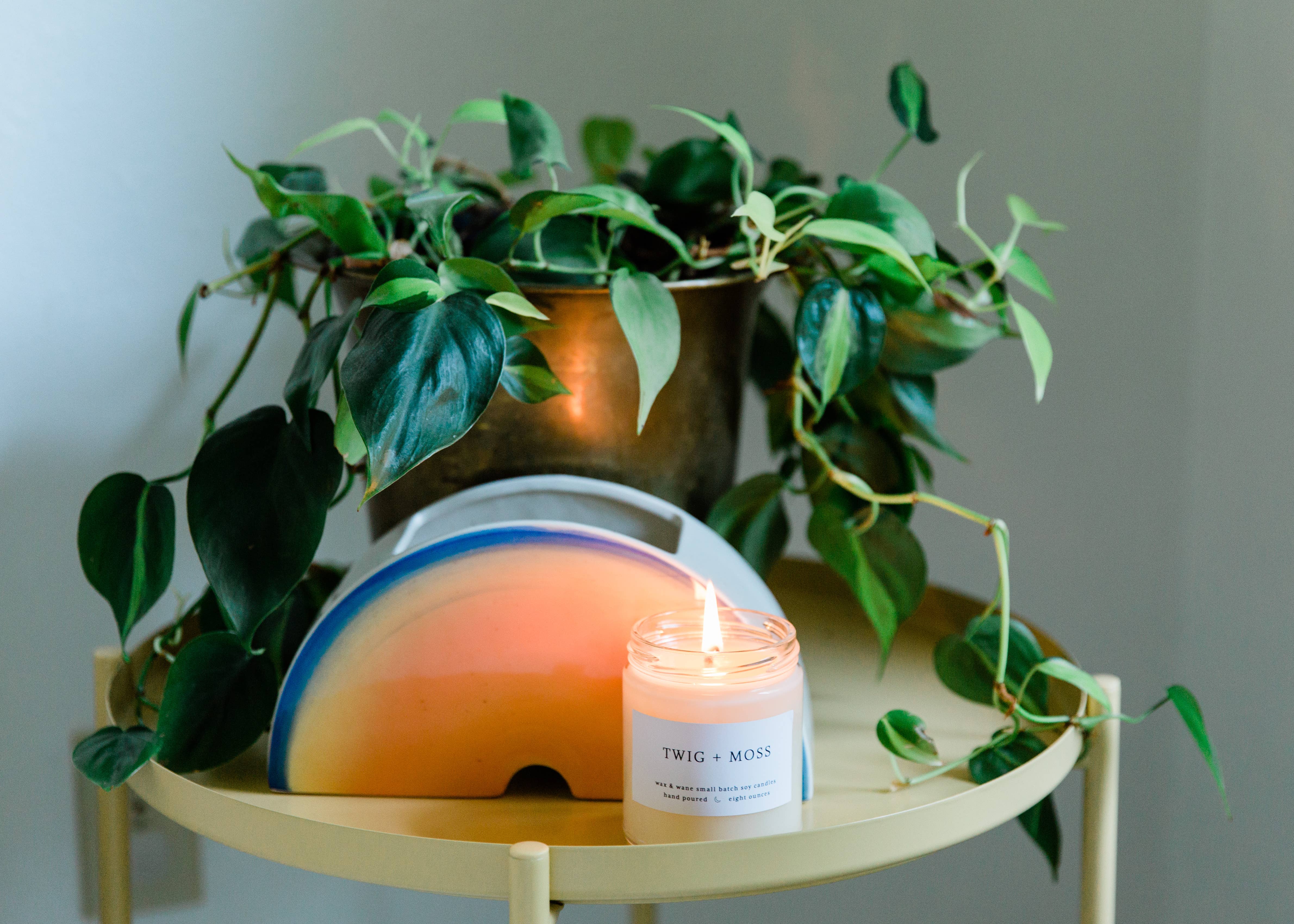 Wax and Wane Candles - Wholesale Jar/Filled Candle - Twig + Moss Modern Soy Candle12