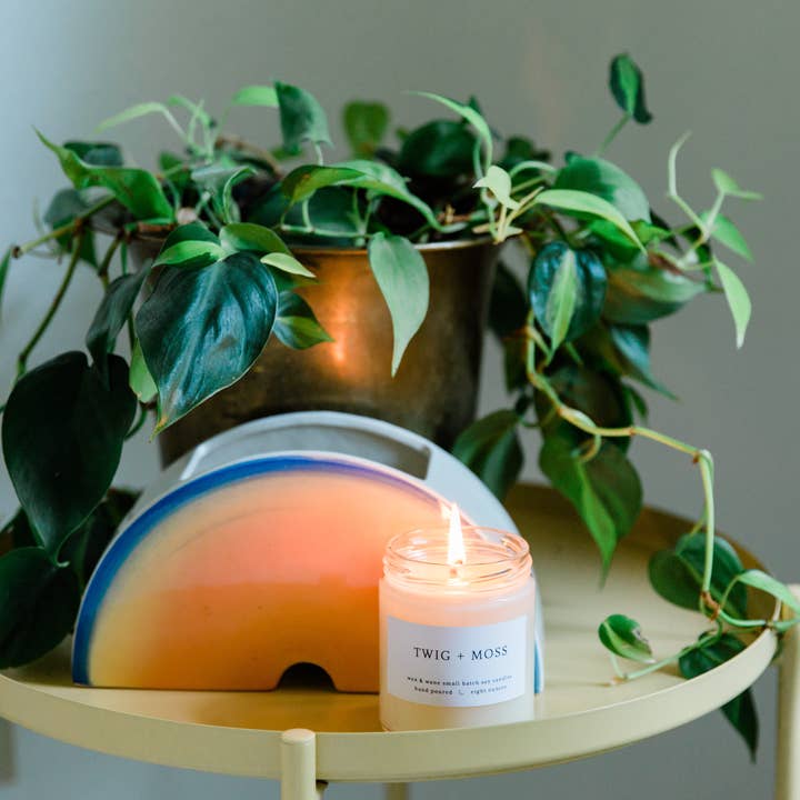 Wax and Wane Candles - Wholesale Jar/filled candle - Twig + Moss Modern Soy Candle12
