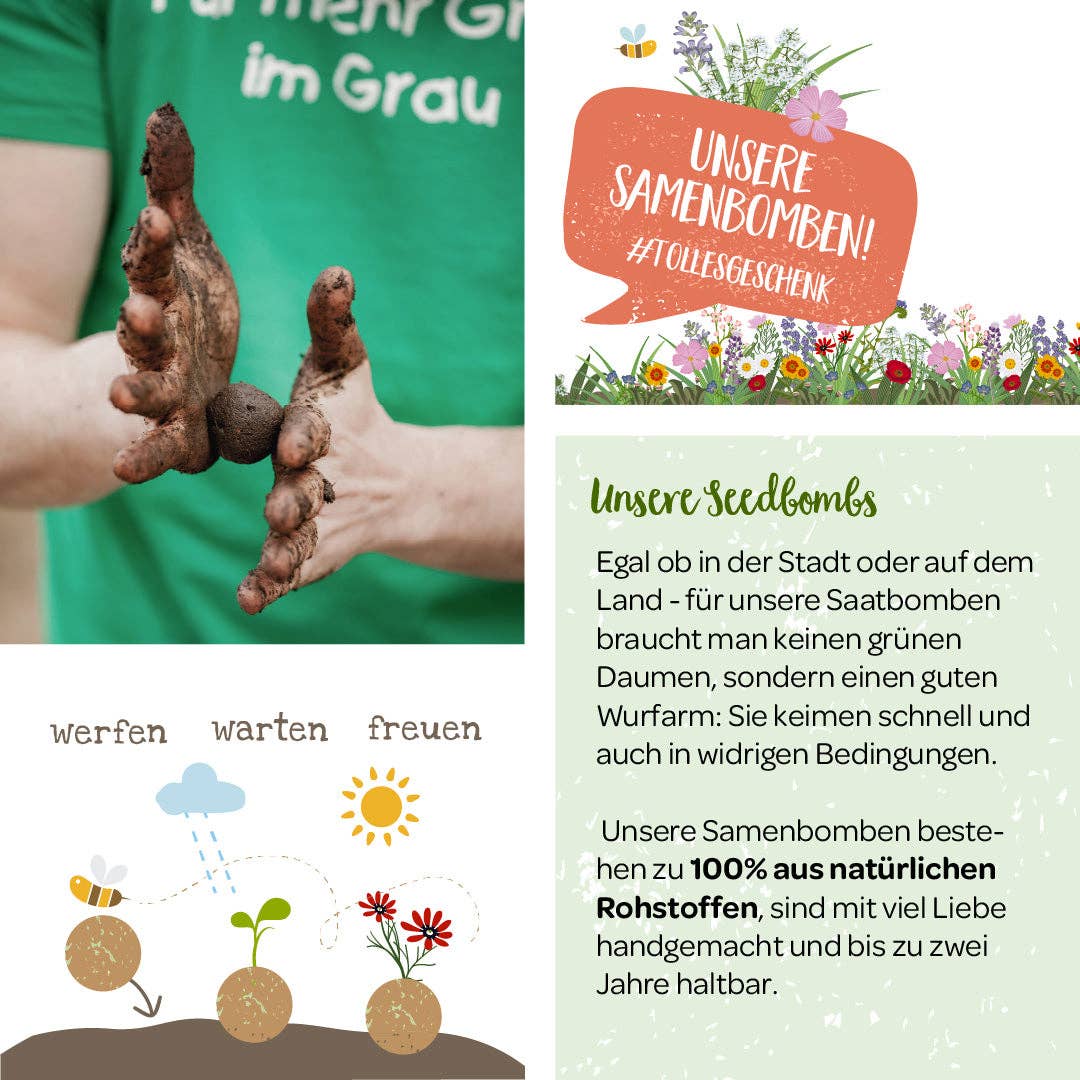 TDJ Stadtgärtner GmbH - Wholesale Plant Seeds - Seed Bombs - Wild Meadow2