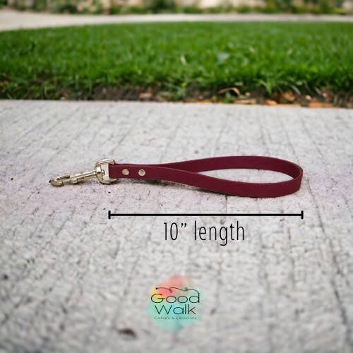 GoodWalk Collars & Leashes | Waterproof Gear for Dogs – wholesale Pet leash – Dog – Traffic Lead for Dogs | 12" | BioThane | Waterproof Leash1