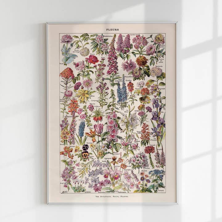 Poster Fleur, vintage bloemenkaart van Adolphe Millot voor wholesale door Patroa Studio