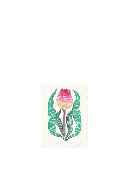Tulipa Gesnariana por atacado de Lili Arnold