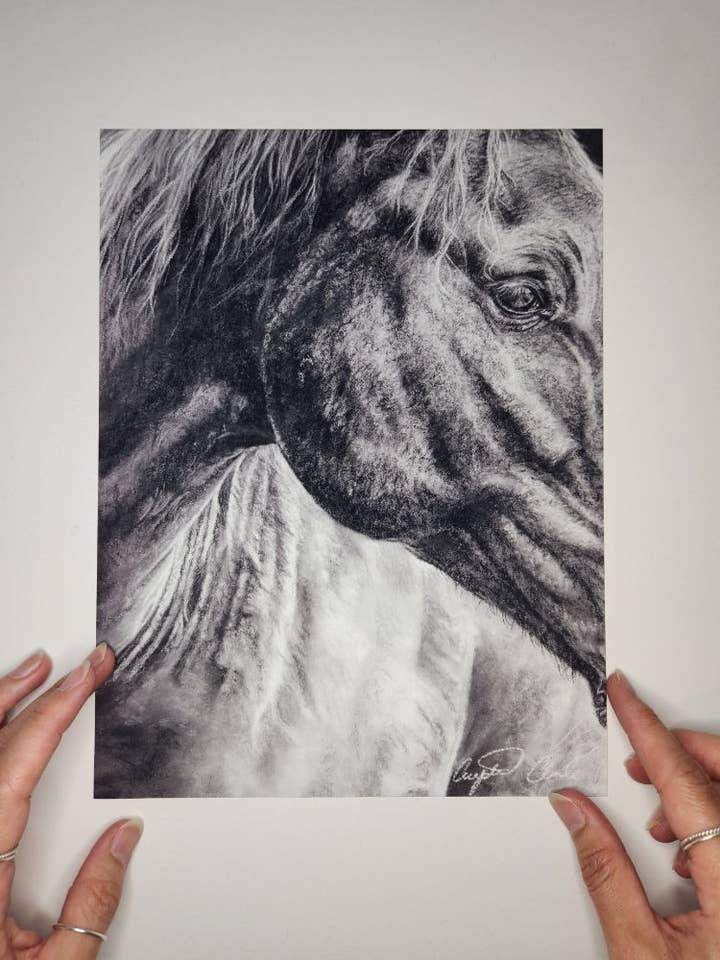 Horse Fine Art Print from a drawing for wholesale by Crystal Clarke Animal Art