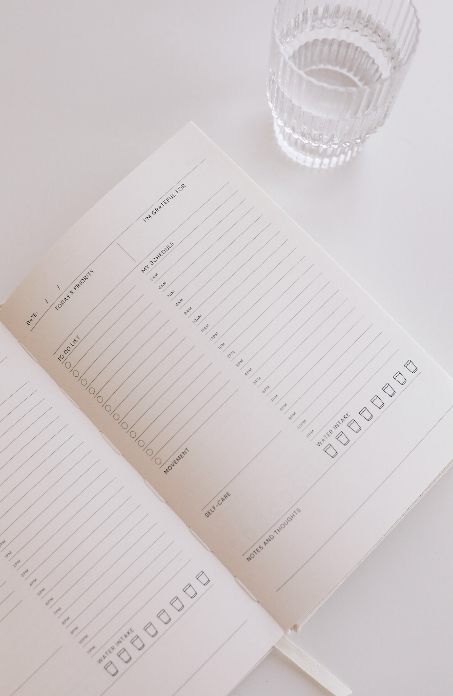 Strawberry Goose - Wholesale Planner - Wellness Planner7