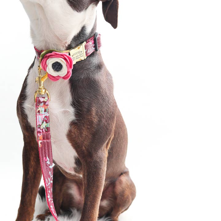 ‘Posey’ Floral Laminated Cotton Dog Leash for wholesale by Mimi Green