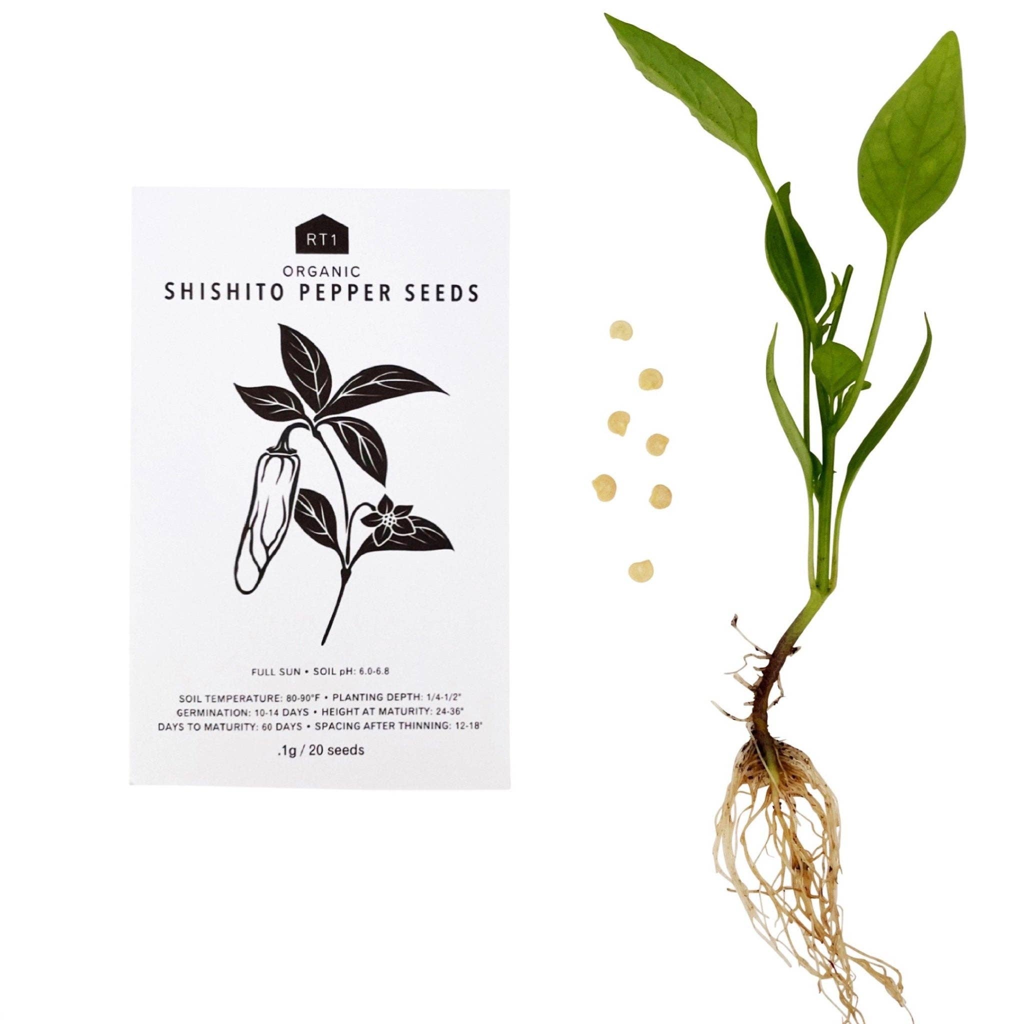 RT1home – wholesale Frön – ÖRTFRÖN - 1 PACK19