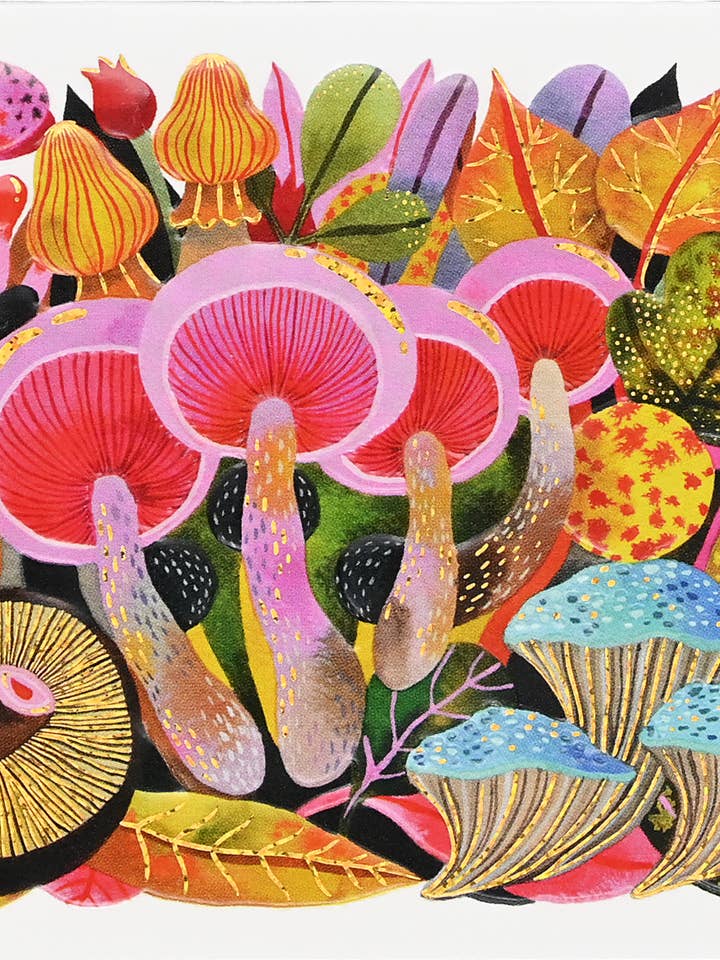 Mushroom Medley Note Cards for wholesale by Peter Pauper Press