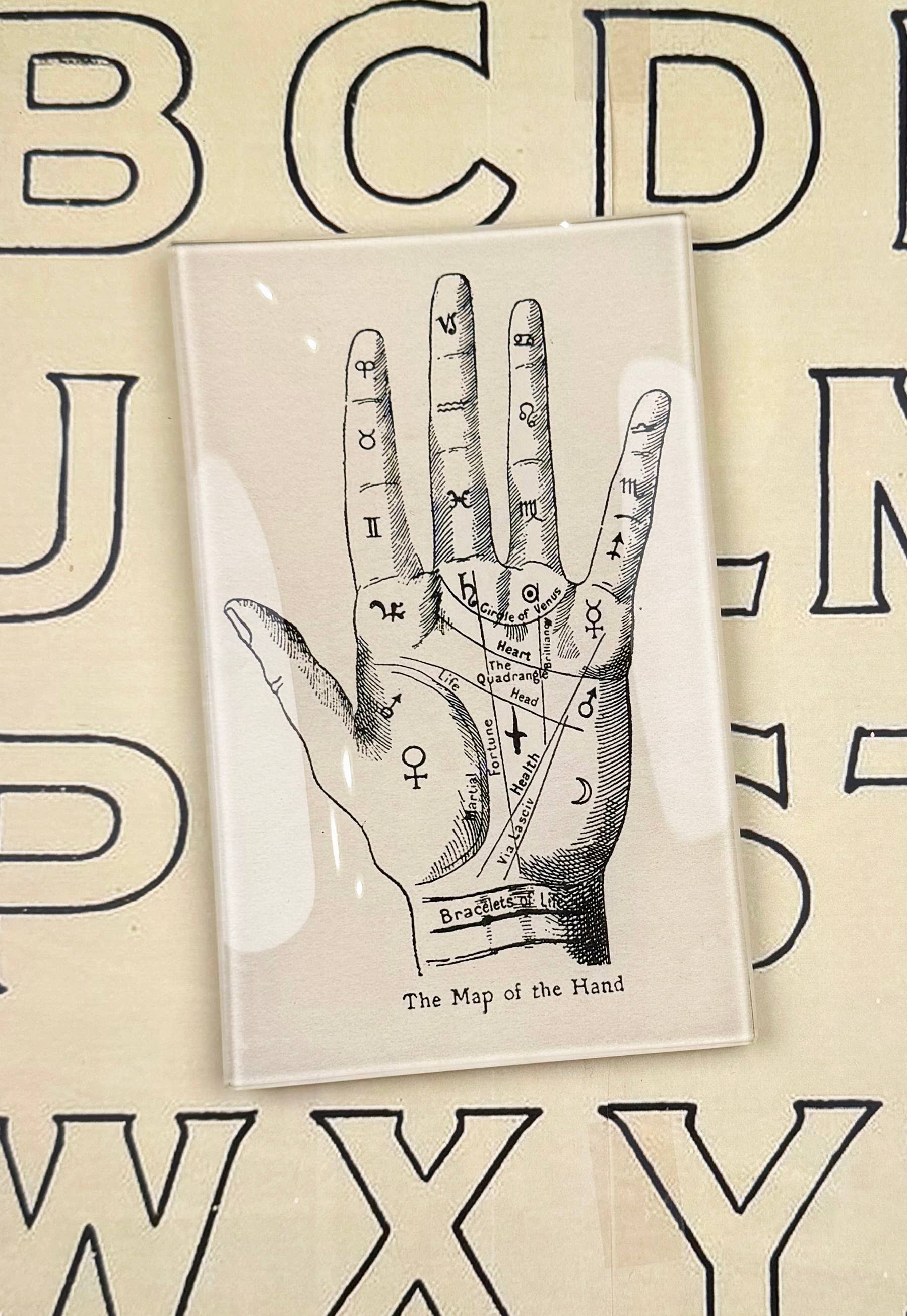 Ben's Garden - Wholesale Decorative Tray - The Map of the Hand Vintage Print Decoupage Tray1