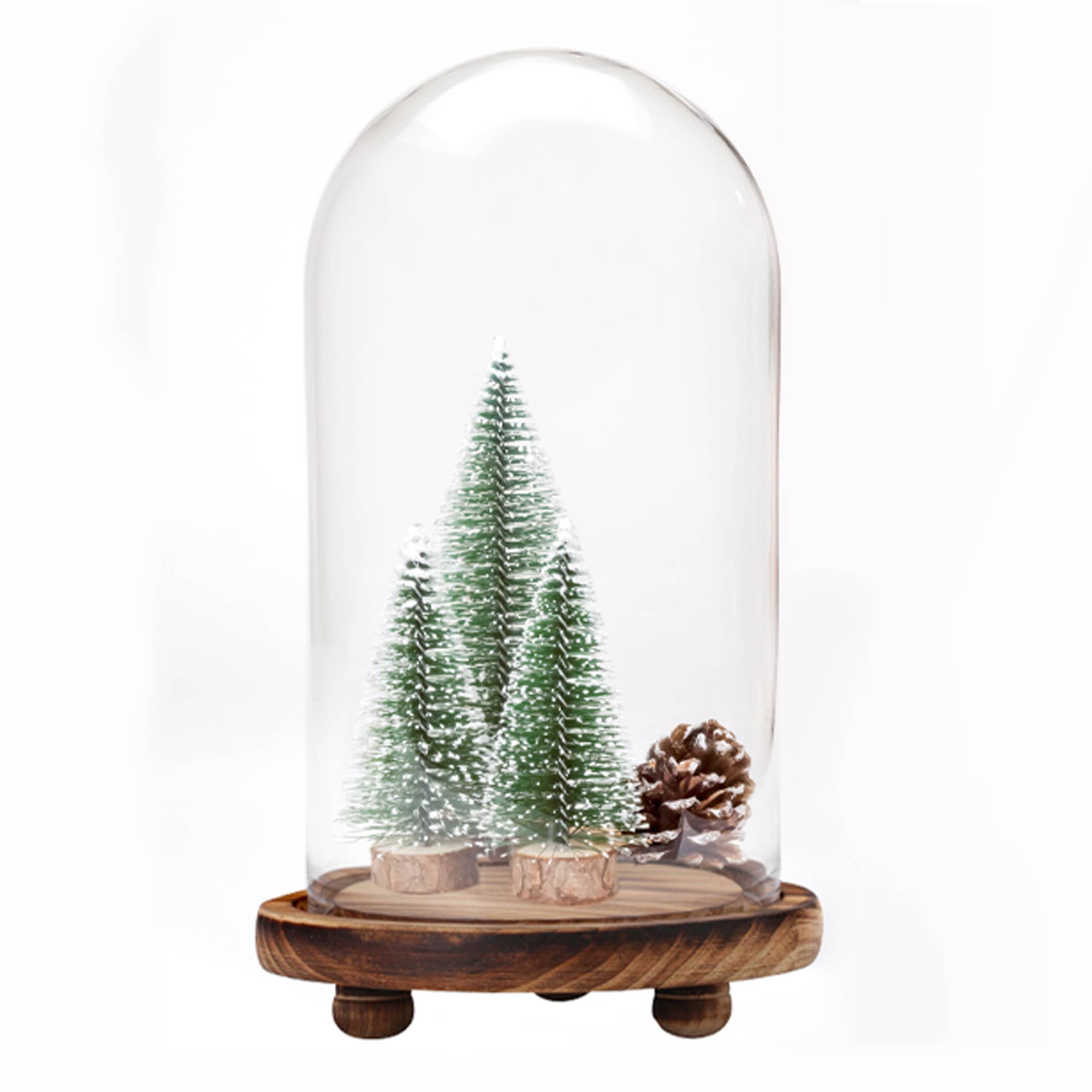 Portofino International Trading, USA - Wholesale Decorative Tabletop Object - Glass Dome with Wood Base 13" Tall2