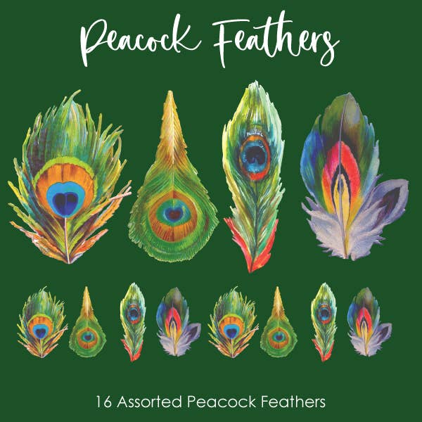 Crystal Candy: Colección Kim - Plumas de pavo real para venta al por mayor de Crystal Candy Unique Cake Decorations